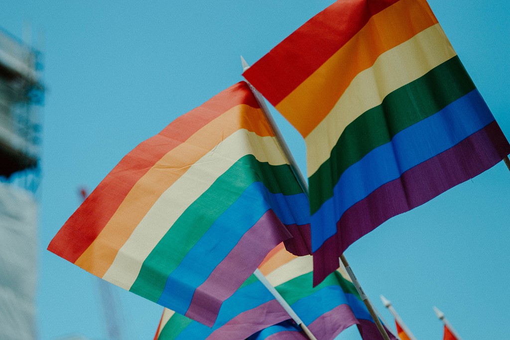 Pride Flags©daniel james_Unsplash